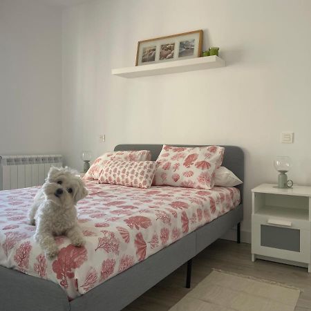 Apartamento Plata 2 Zamora Exterior foto